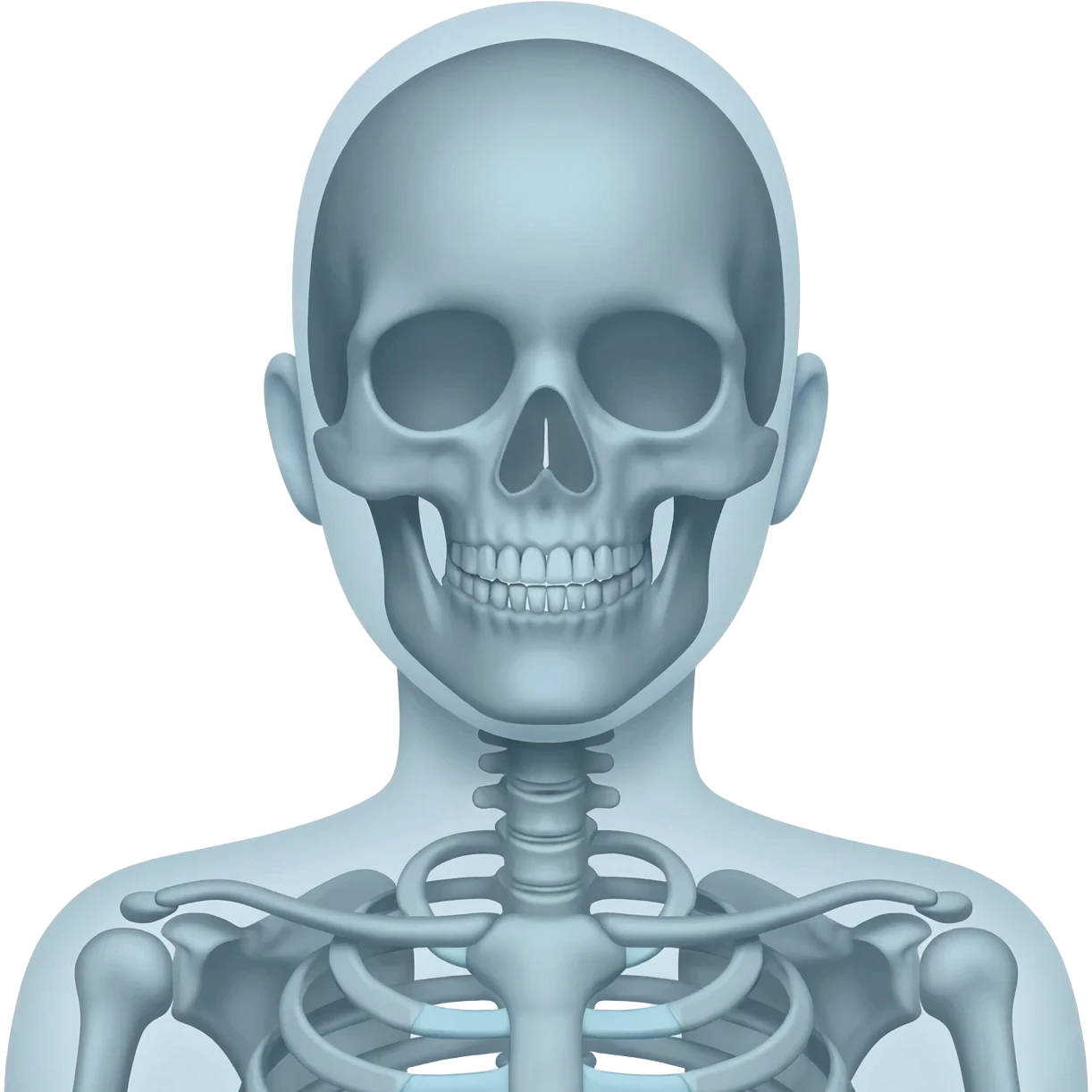 x-ray emoji