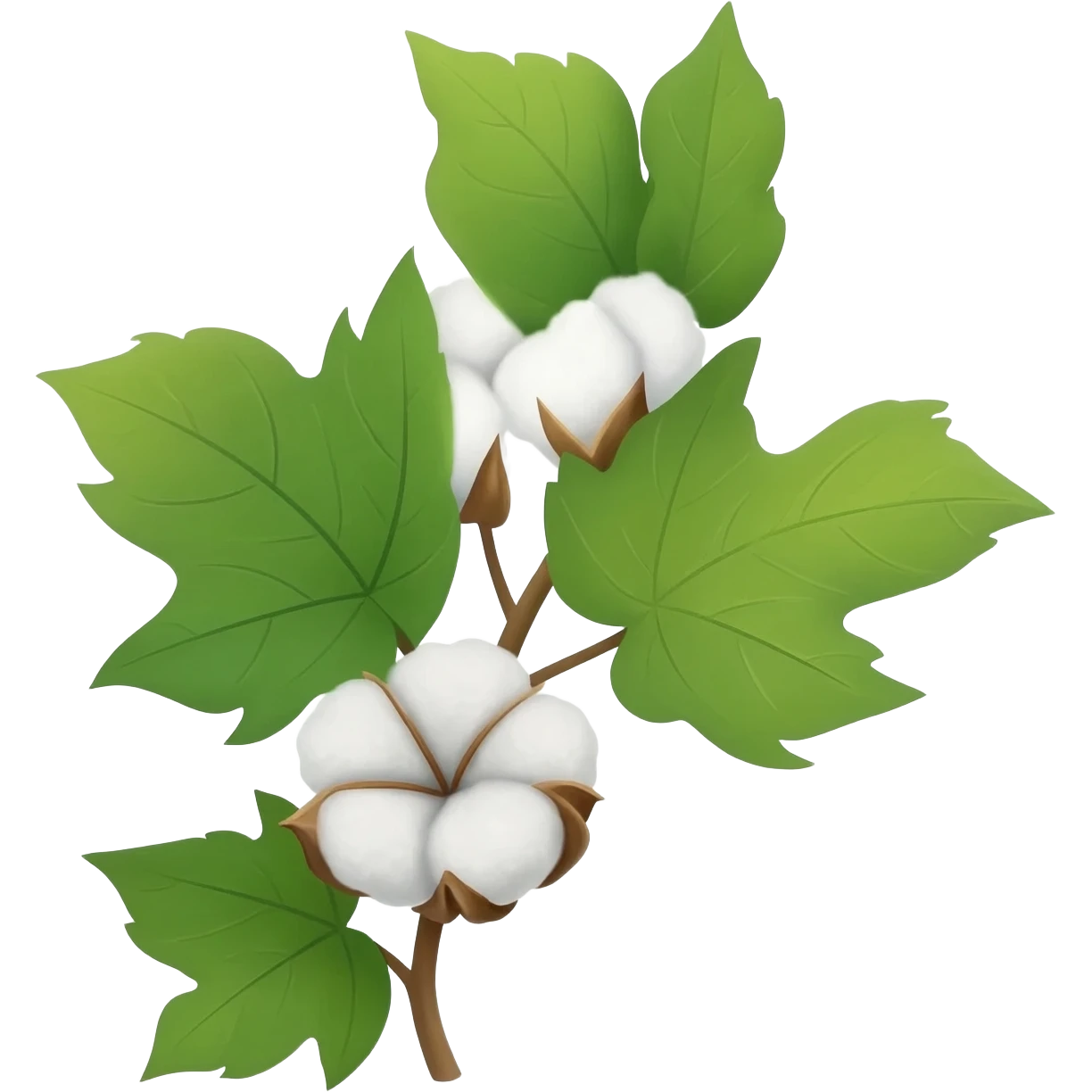 coton imogie emoji