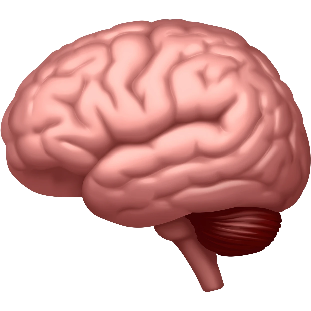 brain support, emoji