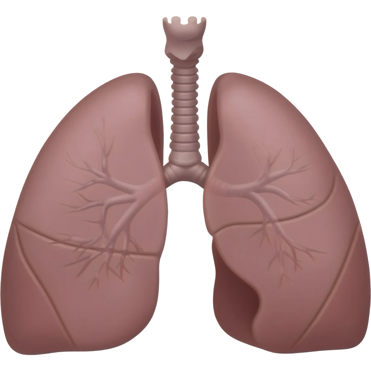 Pulmones emoji