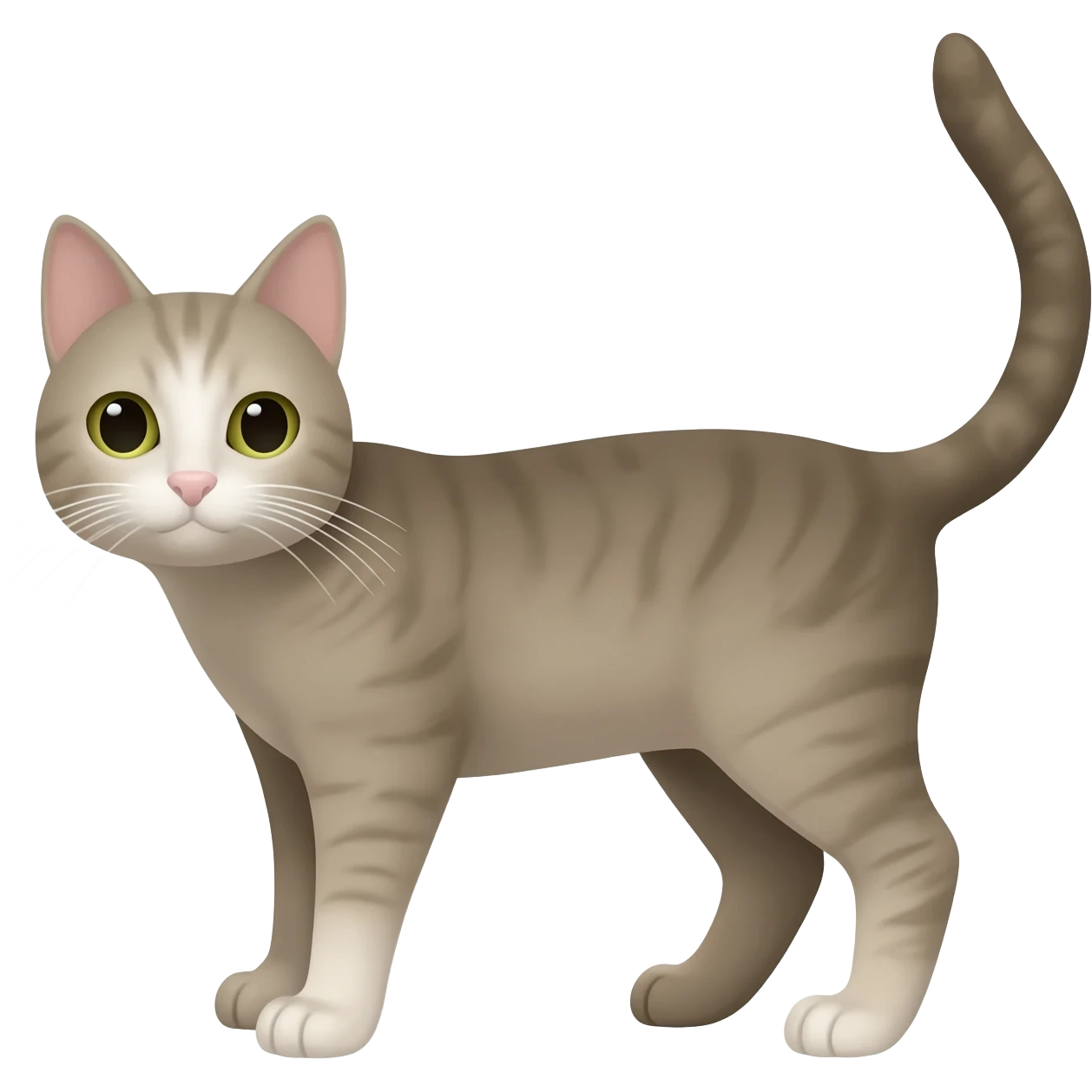 Cat emoji