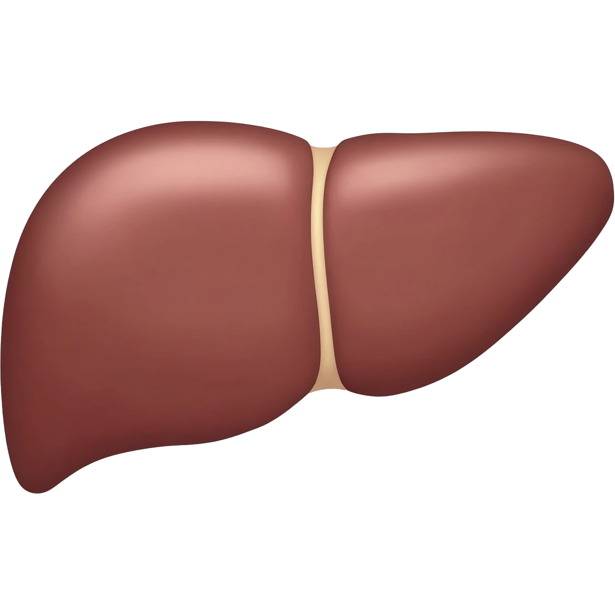 liver emoji