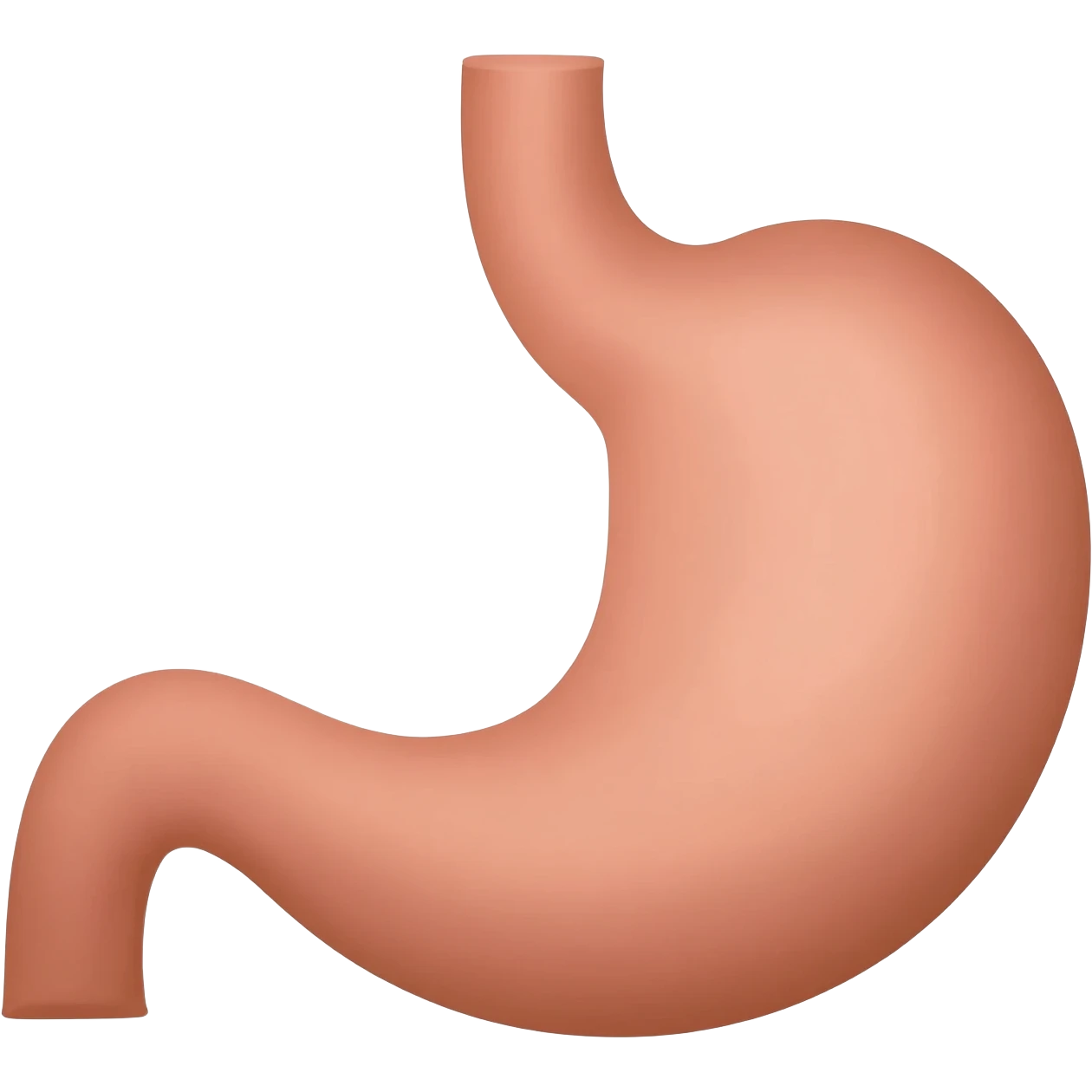 stomach emoji