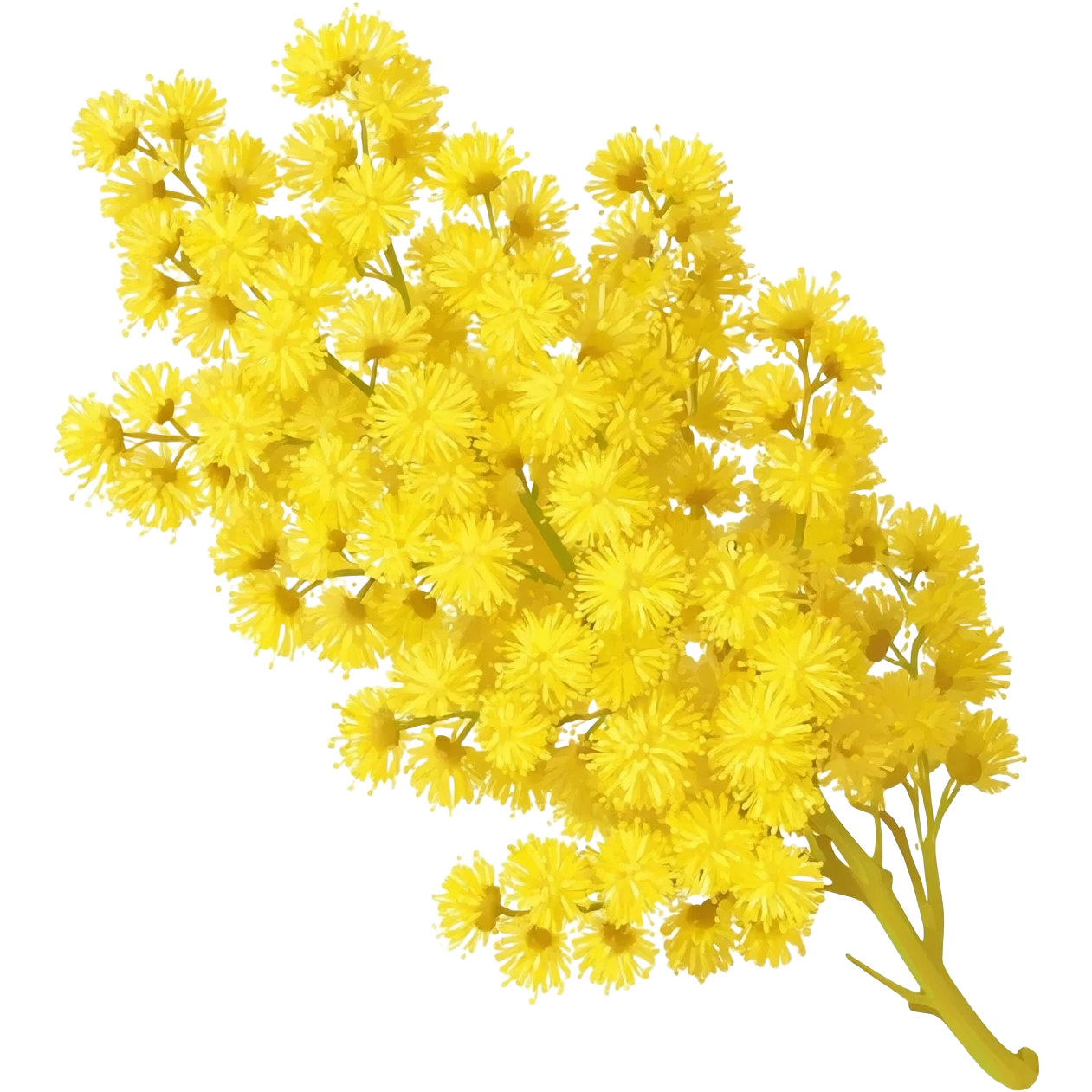 mimosa emoji
