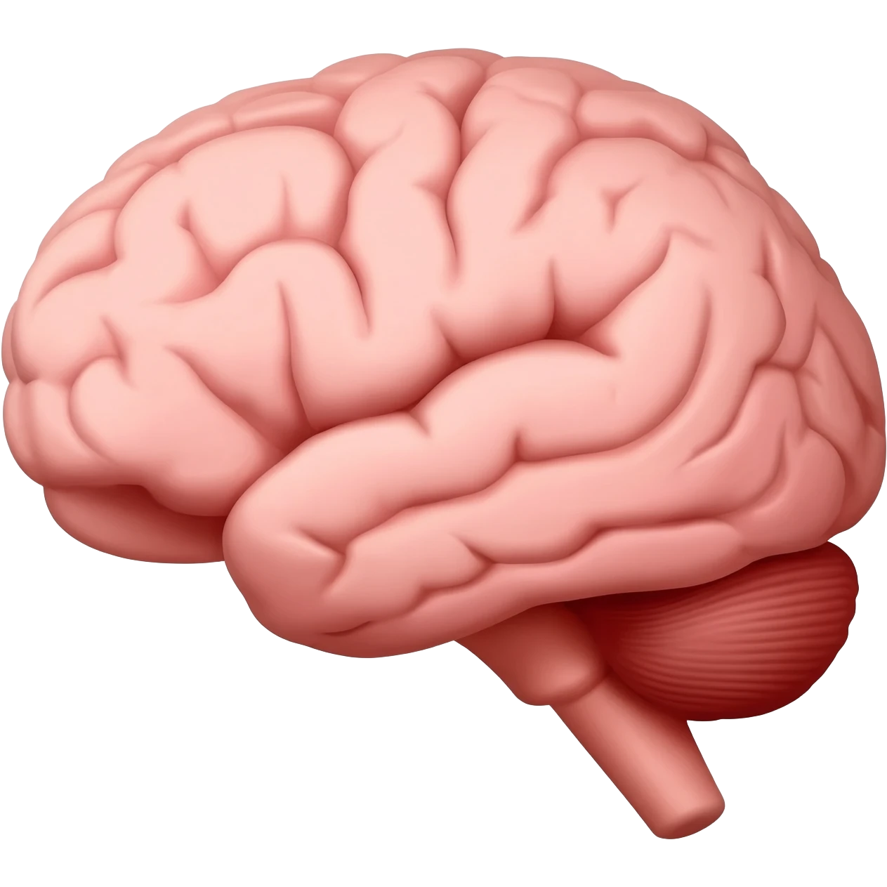 brain heart emoji
