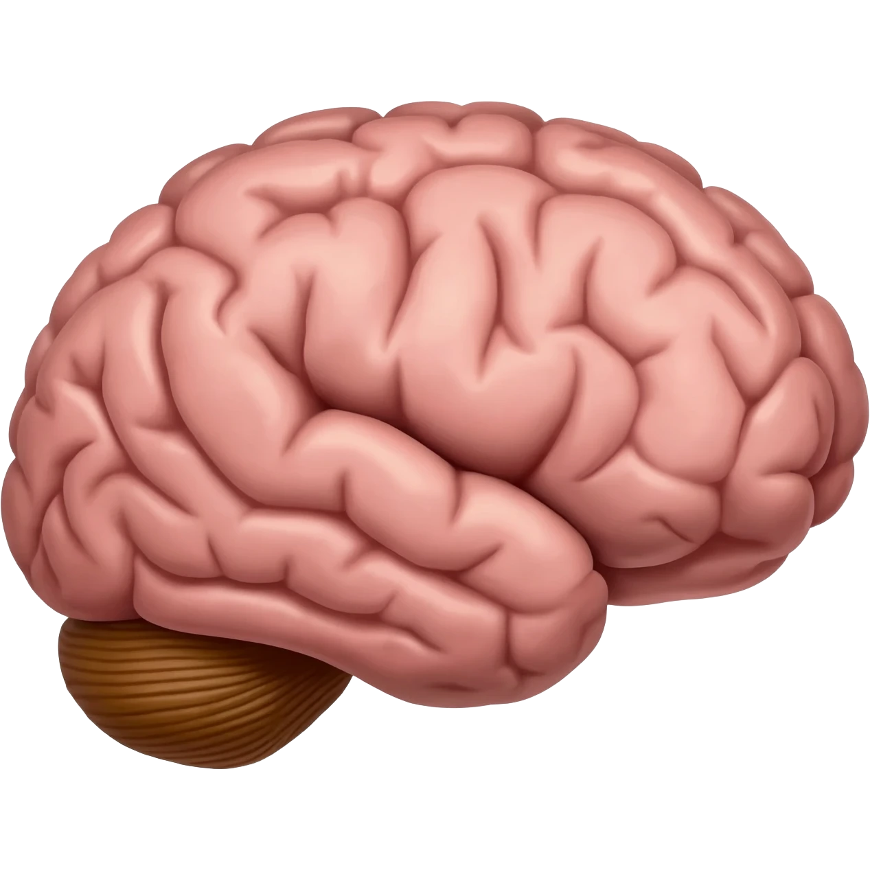 뇌질환 emoji