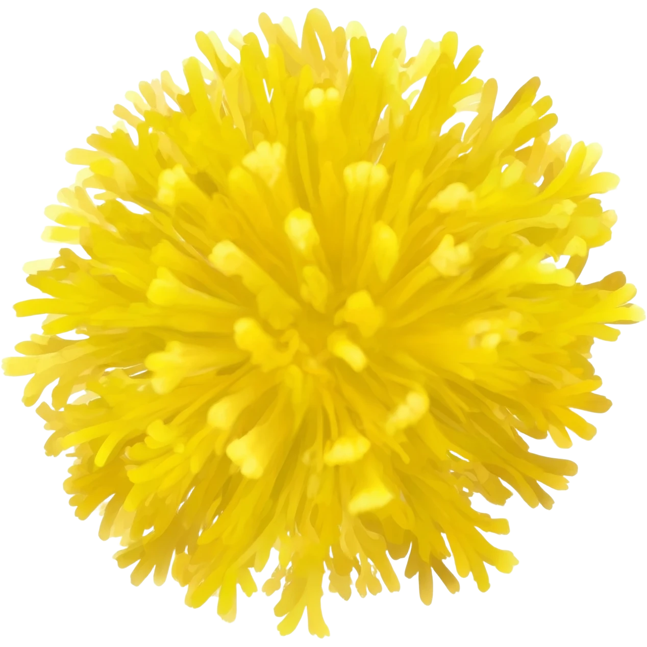 Mimosa emoji