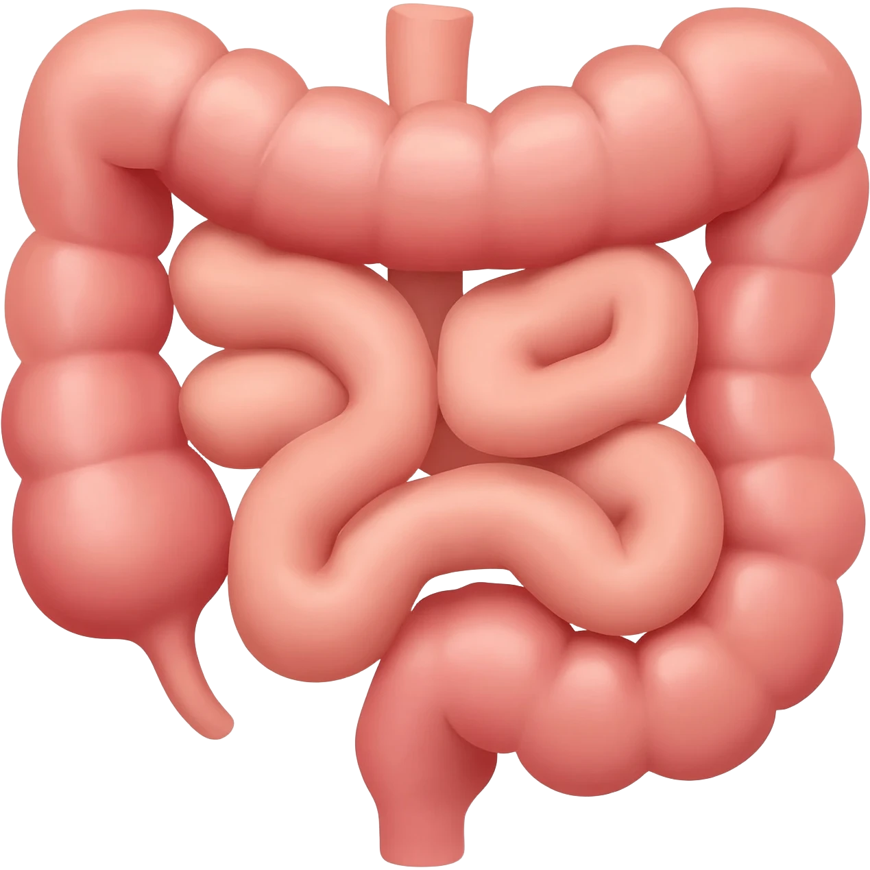 Intestinos emoji
