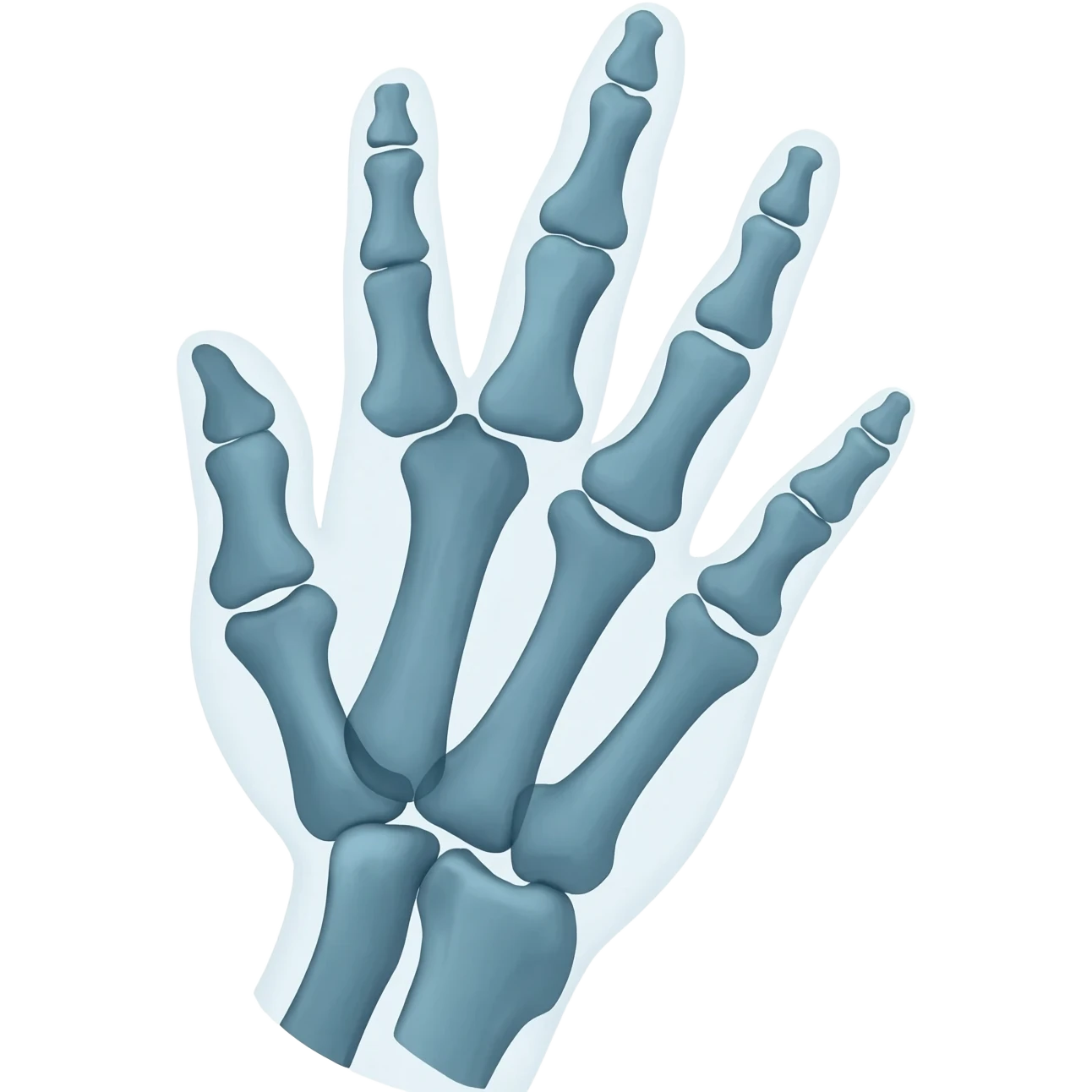 x-ray emoji