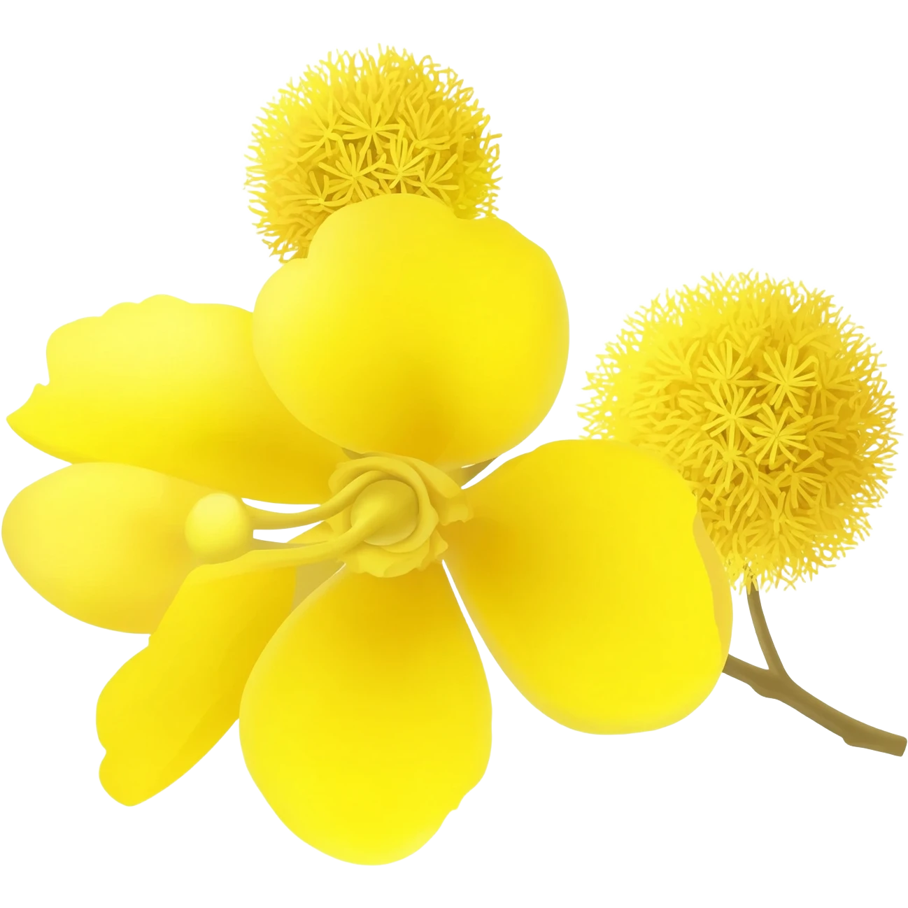 Mimosa emoji