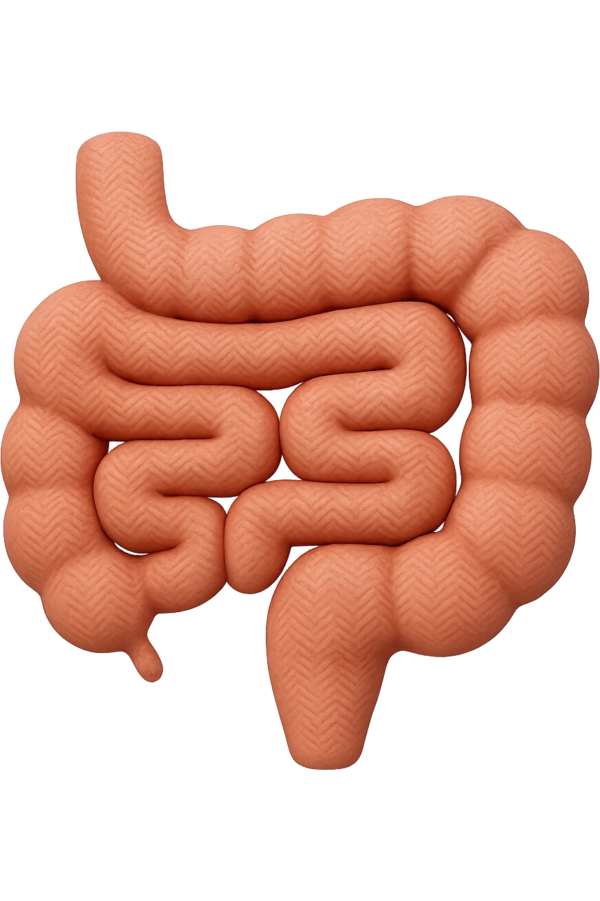emoji 3d stile iphone con tessuto di un intestino 3d emoji
