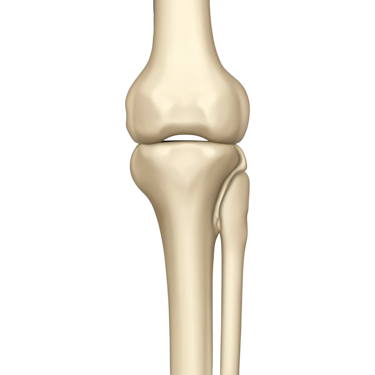 Knie emoji