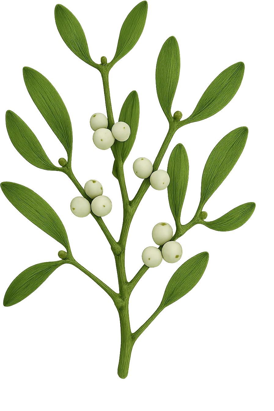 mistletoe remove background emoji