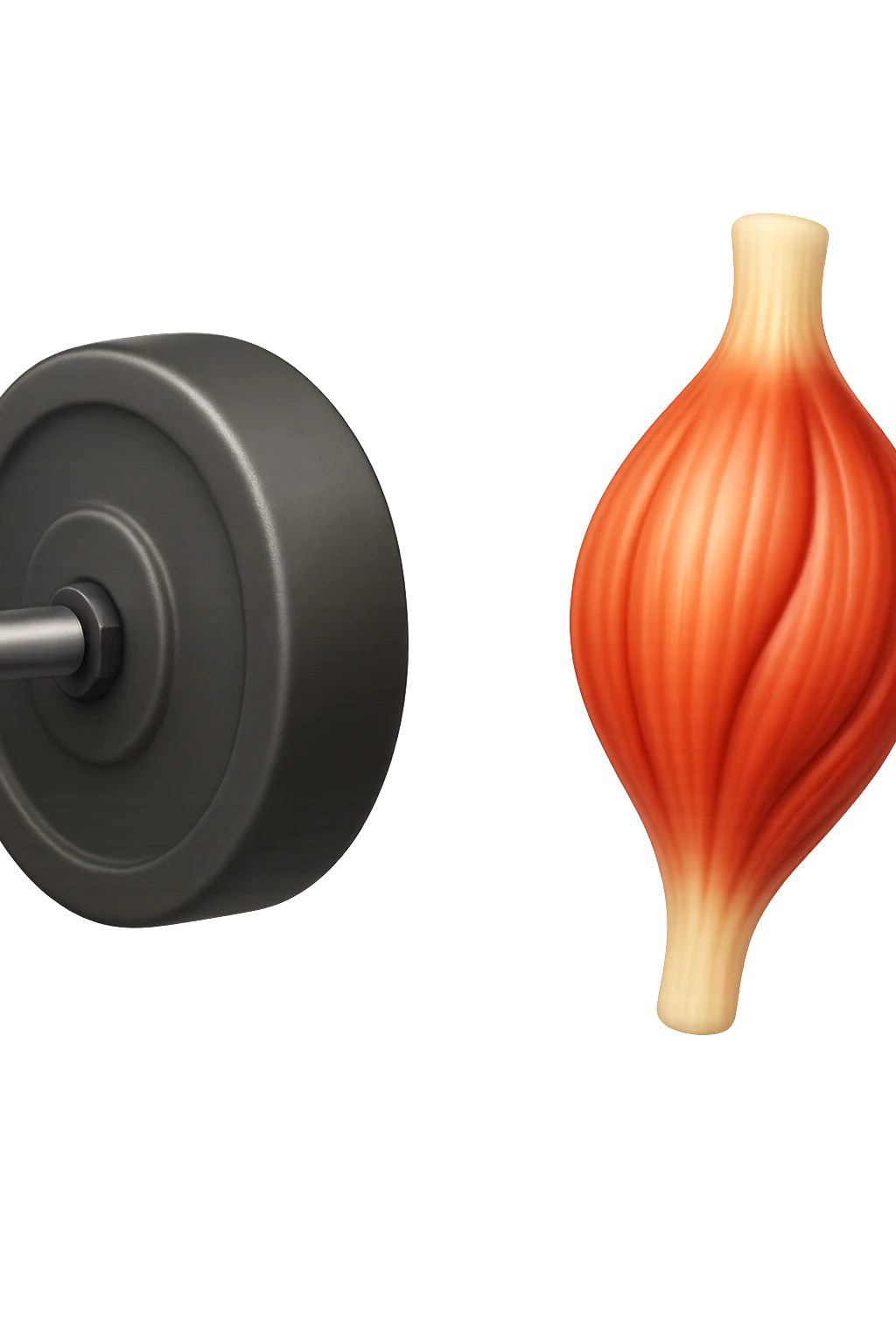 emoji stile iphone di un peso da palestra accanto ad emoji stile iphone di un muscolo umano anatomico, IPERREALISTICO 4K emoji