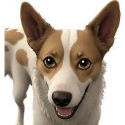 realistic dog looking at viewer sticker