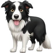border collie sticker
