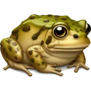Toad sticker