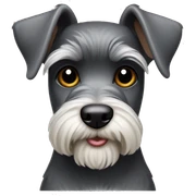 Miniature Schnauzer sticker