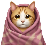 Cat wearing a blanket  sticker