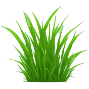 Grass sticker