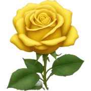 yellow rose sticker