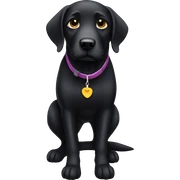 Black lab sticker