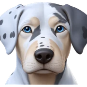 realistic blue eyed dog sticker