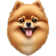 Pomeranian sticker