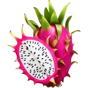 Dragon fruit  sticker
