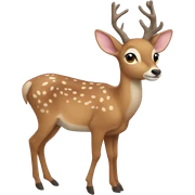 doe sticker