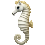Withe sea horse sticker