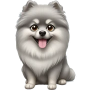 Grey Pomeranian  sticker