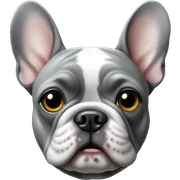 French bulldog in grey sticker