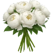 White peonies bouquet  sticker