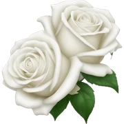 White roses sticker