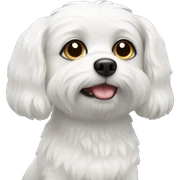 white small dog sticker