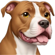 Pitbull sticker
