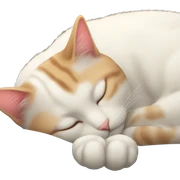cat sleep sticker