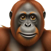 orangutan sticker
