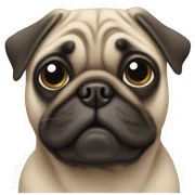 Pug sticker
