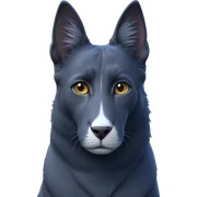 cat gazing with blurry background sticker