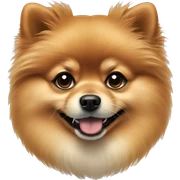 Pomeranian  sticker