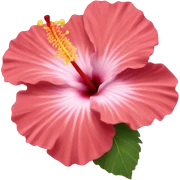 hibiscus  sticker