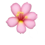 Flor hawallana  Rosa  sticker