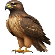 Hawk sticker