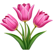 Pink tulips sticker