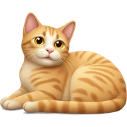 the cat is lying down sticker