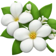 Jasmine sticker