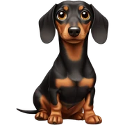 Dachshund  sticker