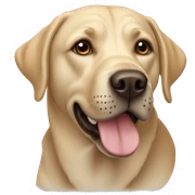 Labrador sticker
